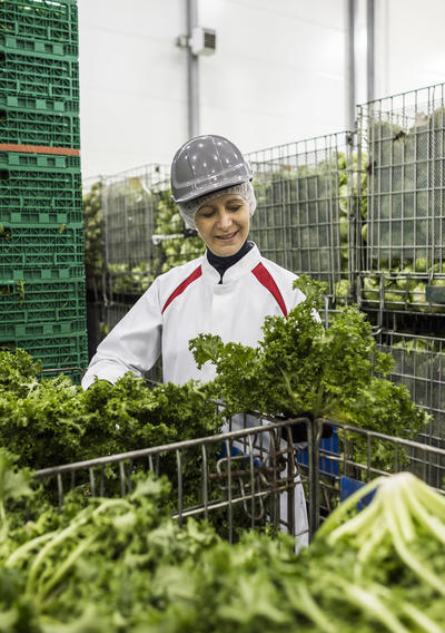 Vêtement de hotsell travail professionnel agroalimentaire